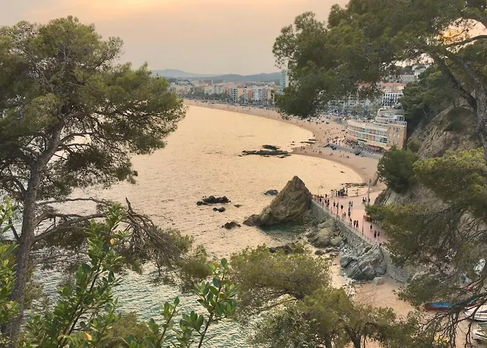 Hotel Casa Coco Boutique & 4*s - Adults Only